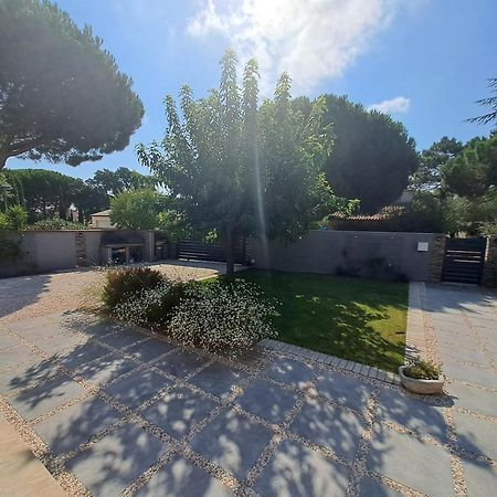 Belle Villa Avec Piscine Vue Montagne A 10 Mn De La Mer A Argeles Bagian luar foto